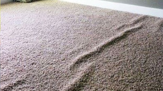 What to do with carpet folds?