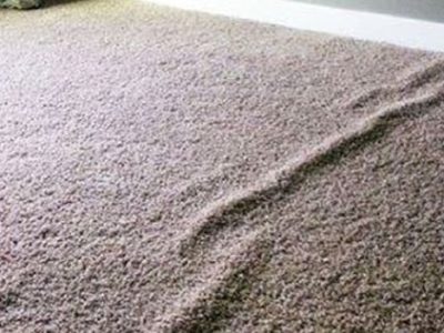What to do with carpet folds?